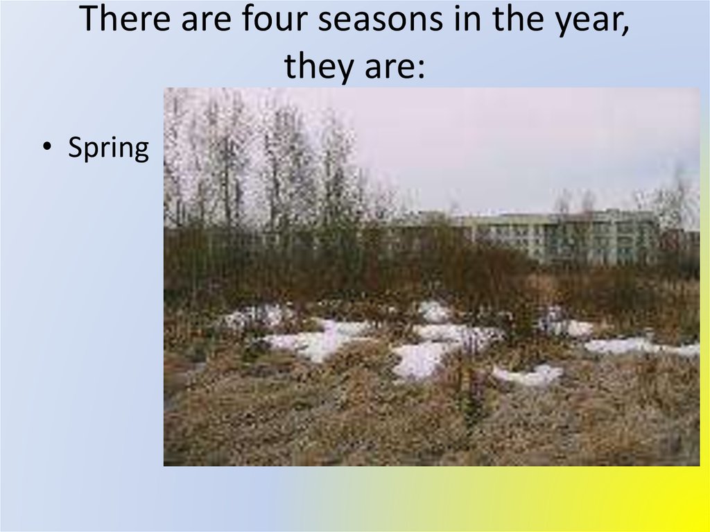 There are four seasons in a year