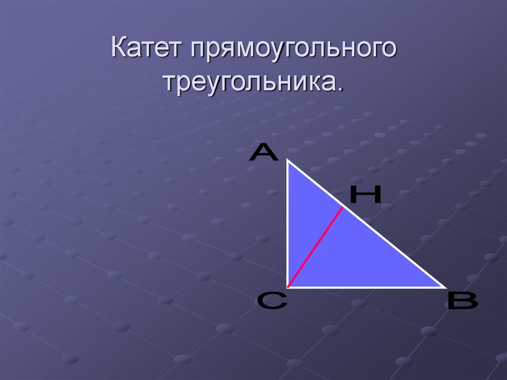 Что такое катет. Катет прямоугольного треугольника. Котят прямоугольного треугольника. Катет в прямоугольном треу. Катет прямоугольного тру.