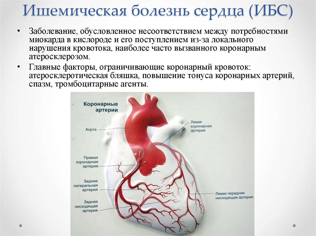 Ишемическая болезнь тест с ответами. Ишемическая болезнь сердца. Ишемическая болезнь сердца (ИБС). Обусловленный заболеванием сердца.