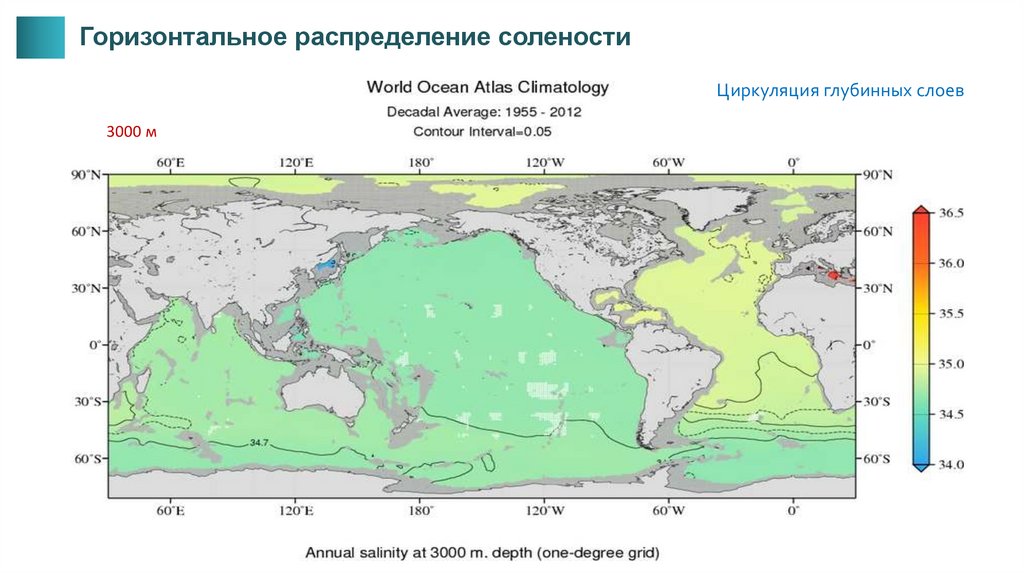 Горизонтальное распределение. Глубинная циркуляция. Термохалинная циркуляция. Термохалинной структуре.