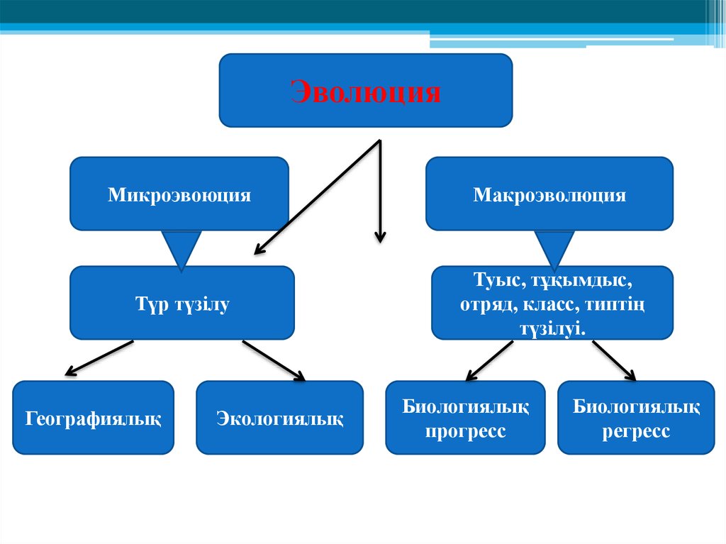 Түр түзілу презентация