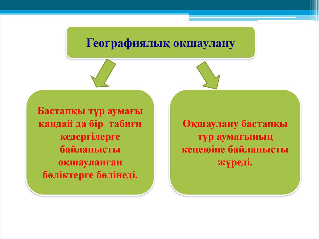 Түр түзілу презентация