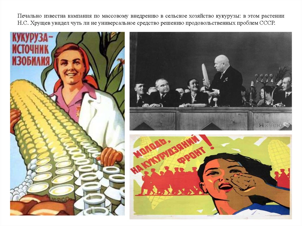 А у ивана кузина текст. Кукурузная кампания Хрущева плакаты. Советские плакаты про кукурузу. Хрущев плакаты. Кукурузная эпопея плакаты.