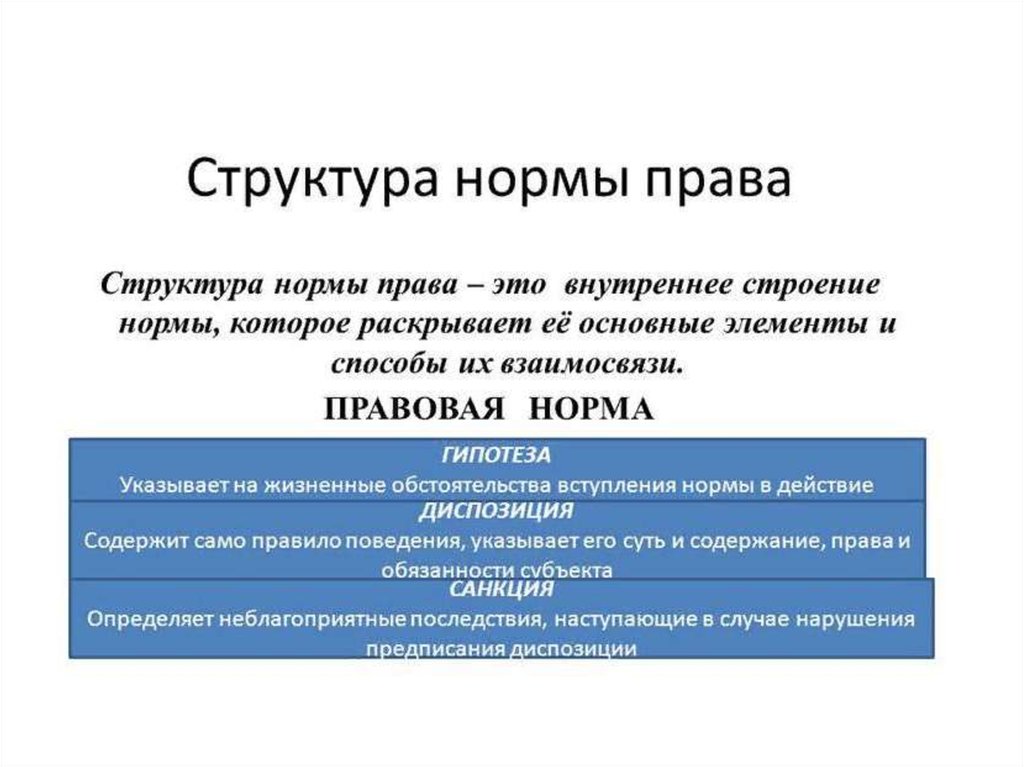 Определенная правовая норма. Структура нормы права. Структура нормы права гипотеза. Строение нормы права. Внутреннее строение нормы права.