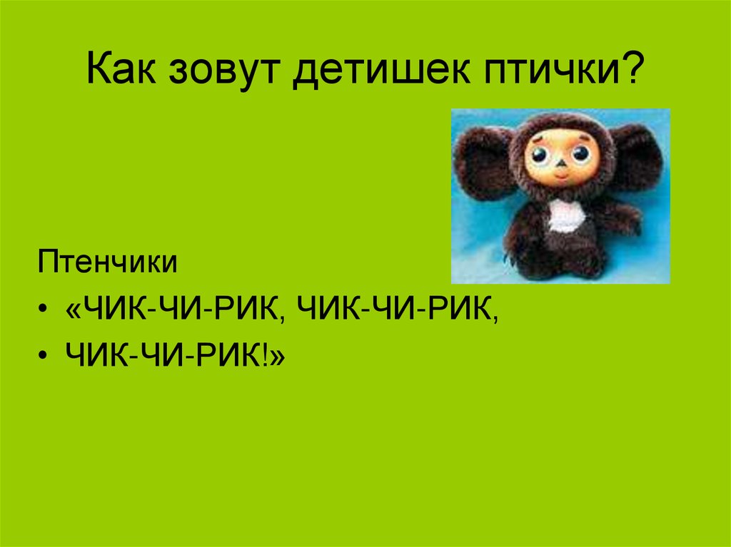 Как зовут детишек птички?