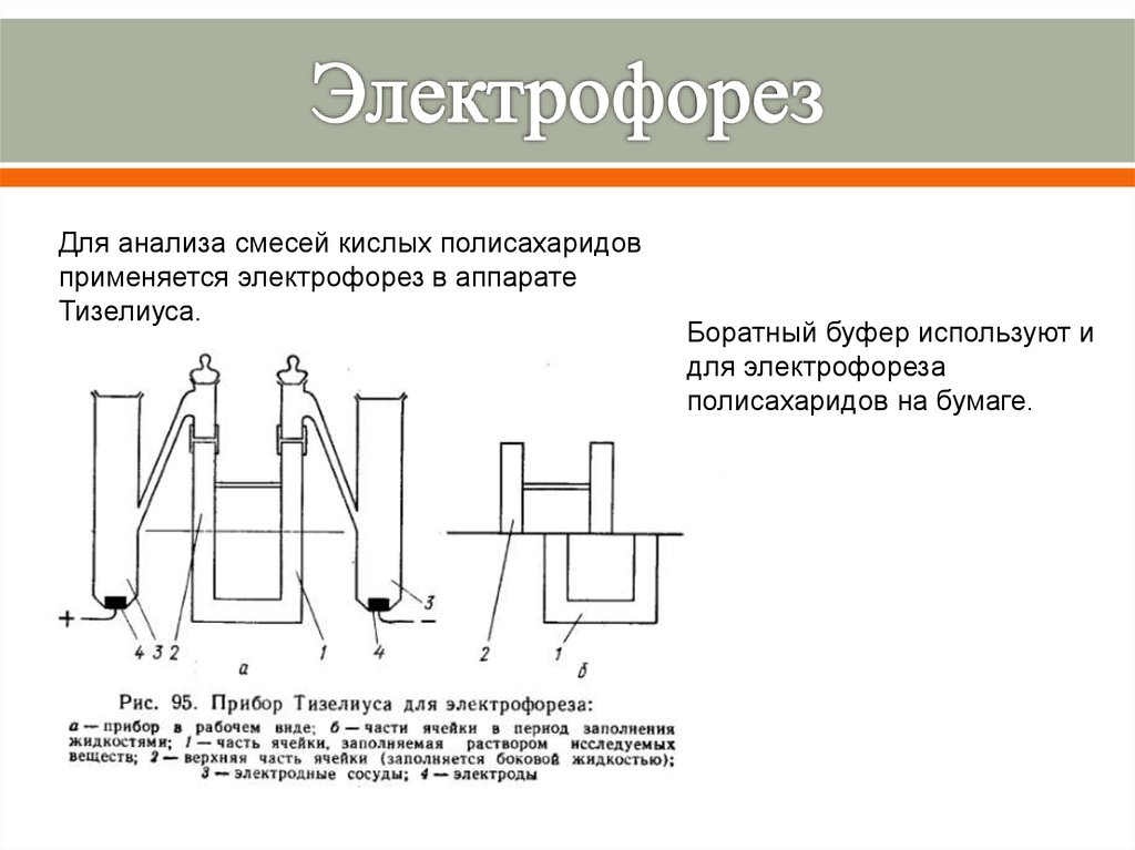 Электрофорез