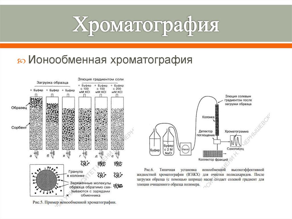 Ионообменная хроматография презентация