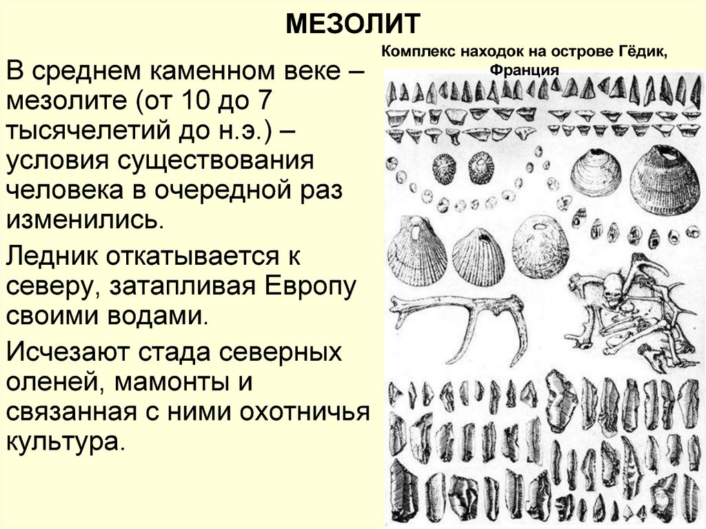 Мезолит века