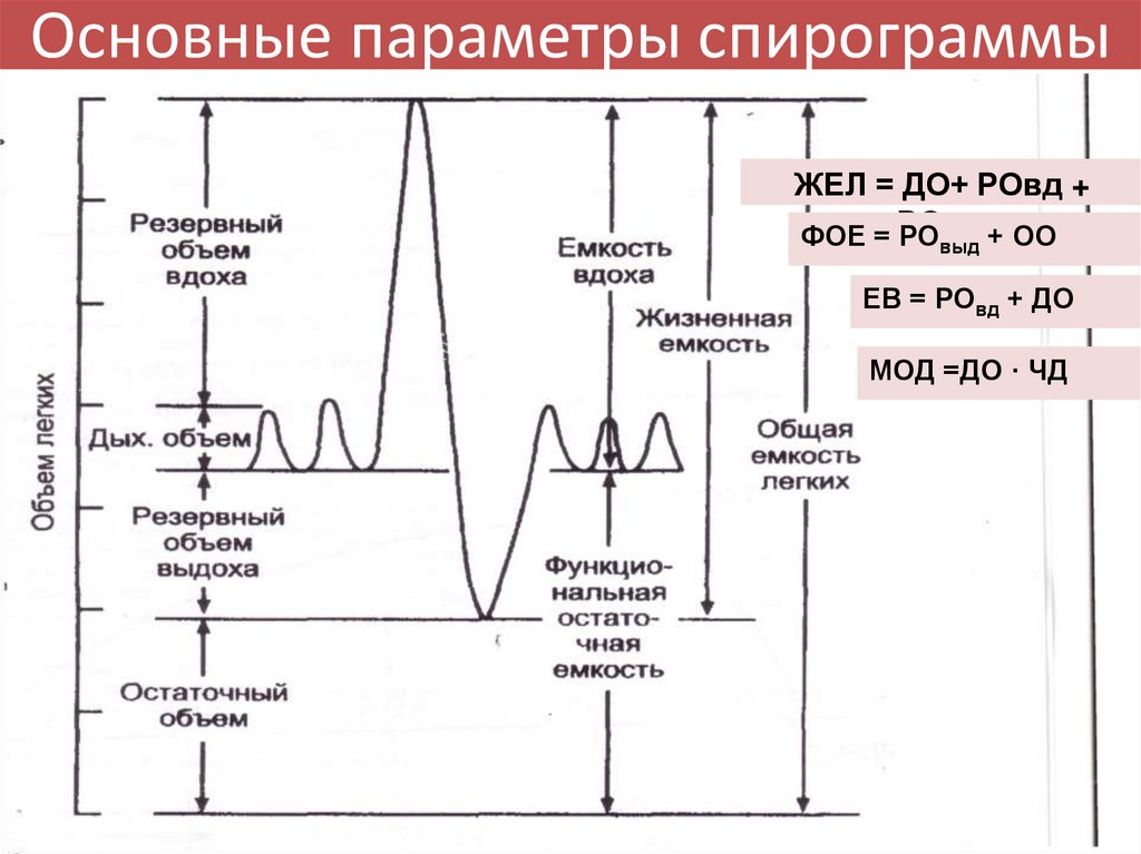 Резервный объем выдоха. Спирограмма. Жел на спирограмме. Спирограмма расшифровка. Анализ спирограммы легких.