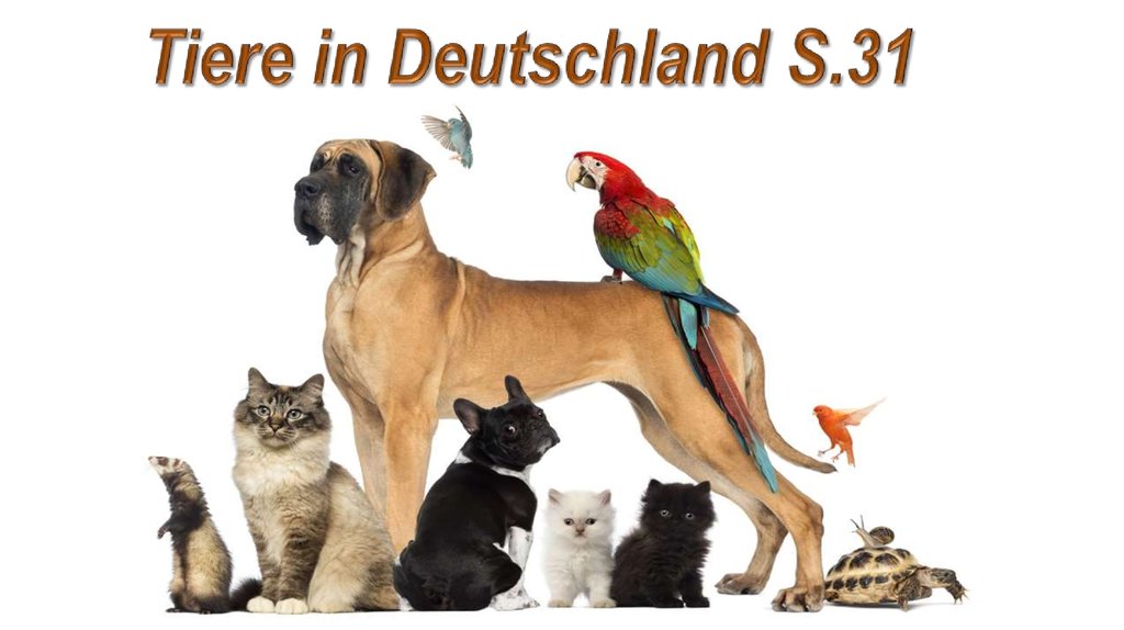 Tiere in Deutschland S.31