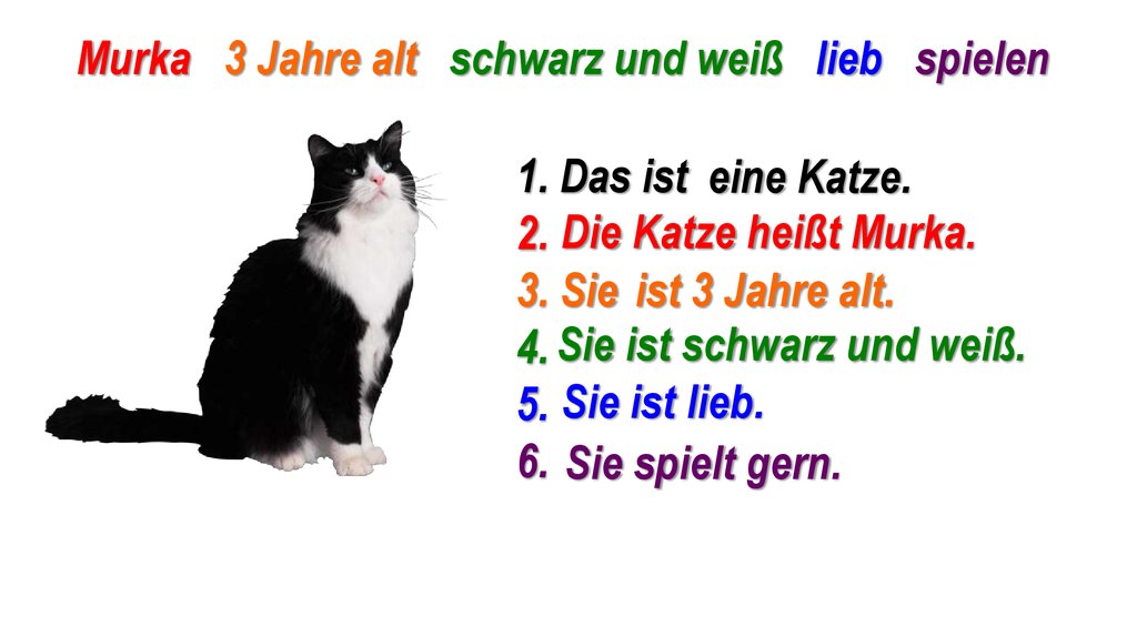 Die katze. Текст die Katze. Katze по немецки. Презентация Mein Lieblingstier. Схема немецкого язык das ist Katze Schwarz.