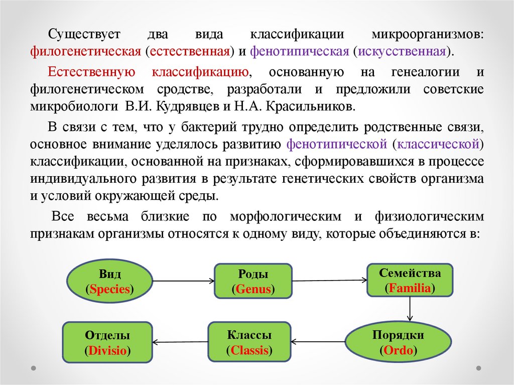 Доклад классификация