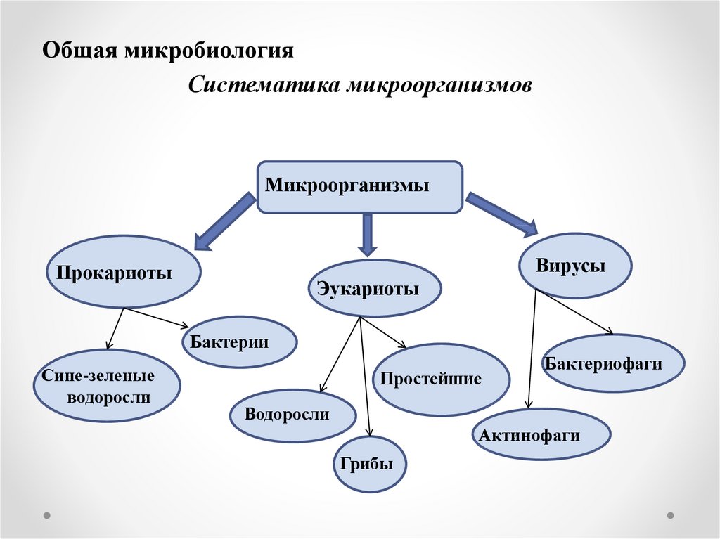 Исследование рода