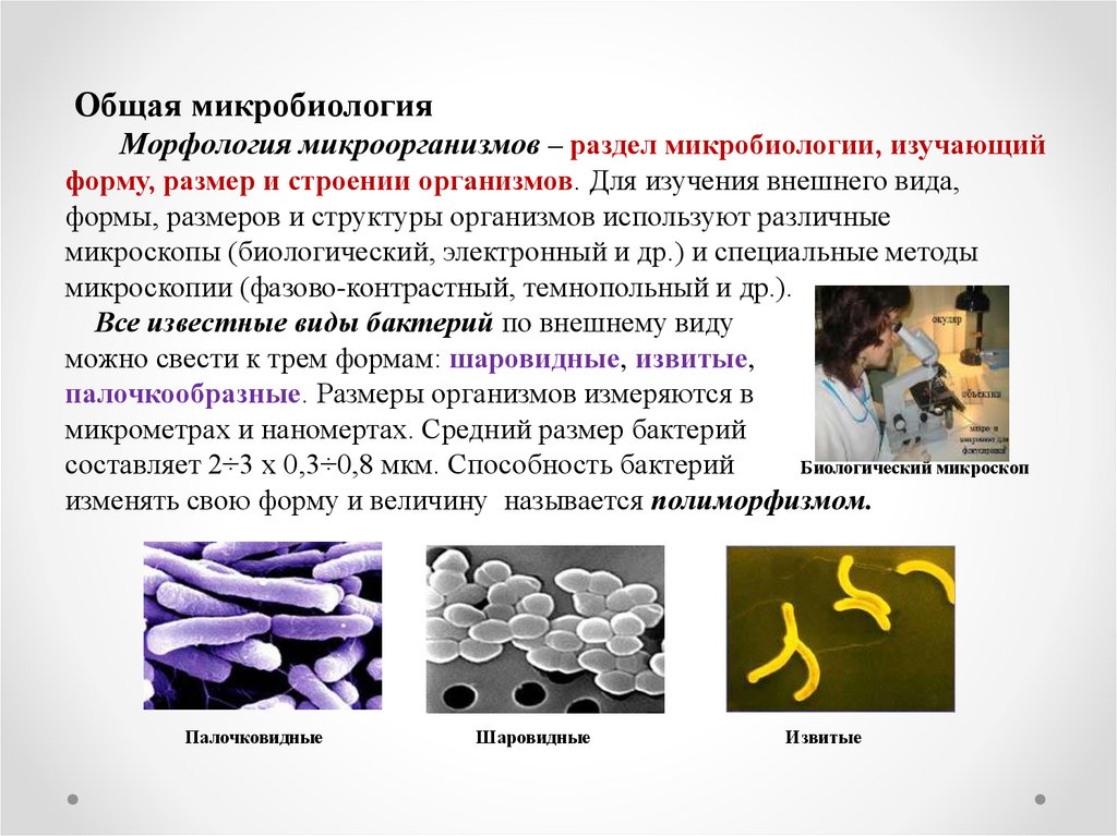 Сальмонеллез презентация микробиология