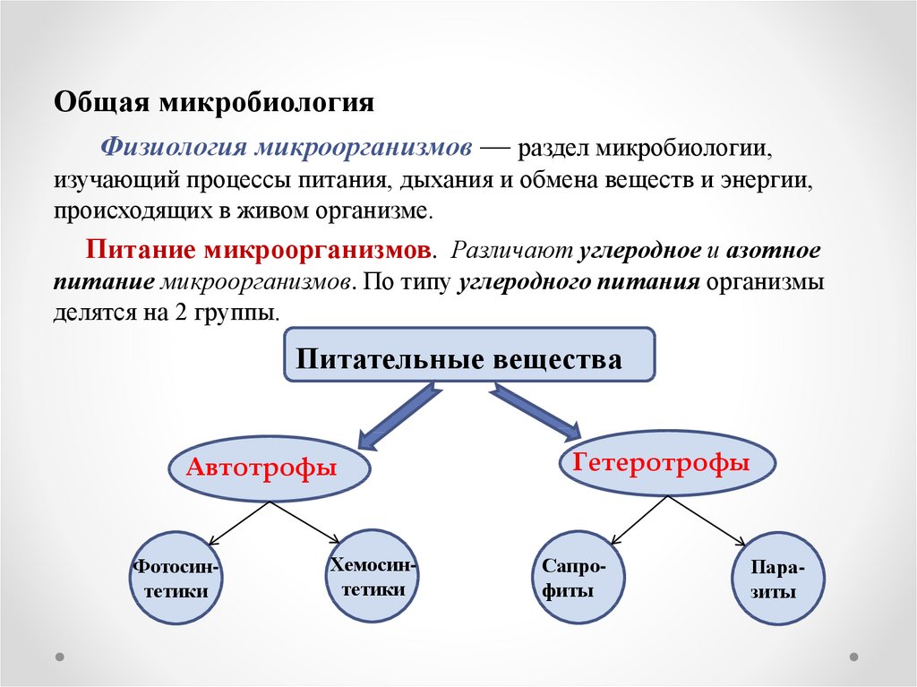 Схема применение микроорганизмов