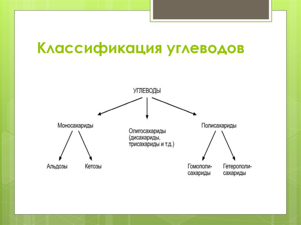 Дихотомическая картина мира