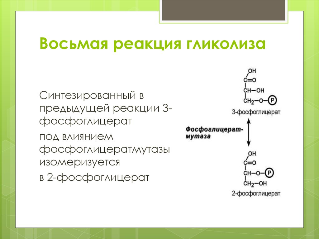 Реакция окисления гликолиза. 8 Реакция гликолиза. Восьмая реакция аэробного гликолиза. Аэробный гликолиз реакции. Этапы гликолиза биохимия.