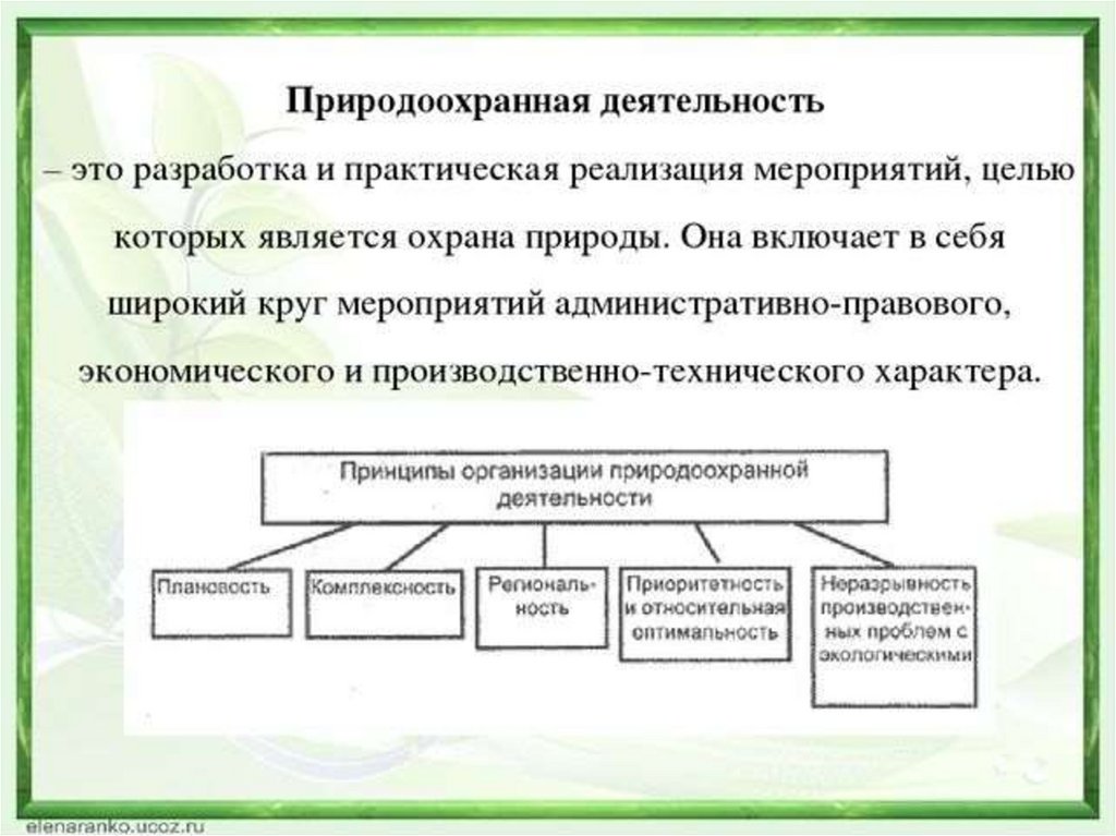 Экологическая экспертиза проектов относится к экономическим рычагам или инструментам ответ поясните