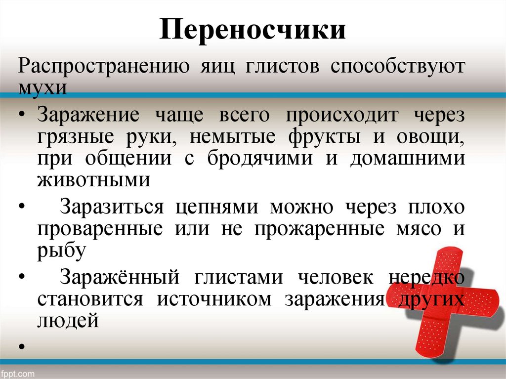 Заражение чаще. Глистные заболевания причины источник заражения. Глистные заболевания и меры их профилактики. Конспект глистные заболевания. Глистные заболевания симптомы и профилактика.