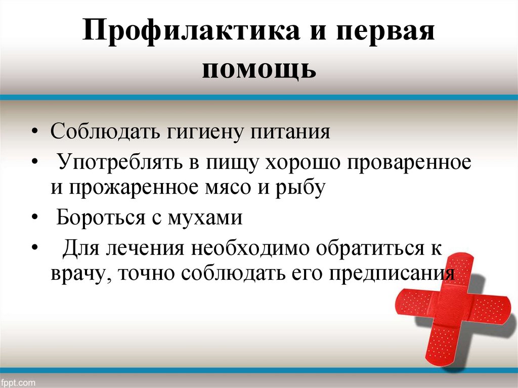 Заболевания первая помощь. Глистные заболевания и их профилактика. Первая помощь при глистных заболеваниях. Гельминтозы первая помощь. Сбо презентация предупреждение глистных заболеваний.