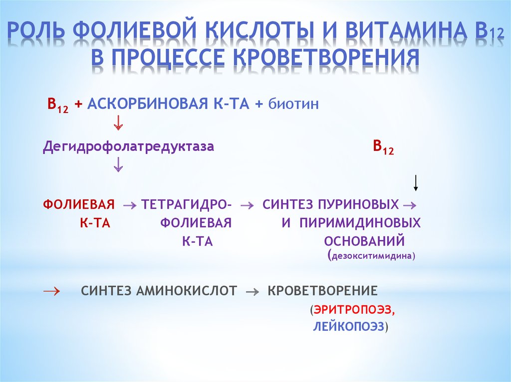 Роль кислот. Роль витамина в12 и фолиевой кислоты в гемопоэзе. Роль фолиевой и витамина в12 в эритропоэзе. Роль фолиевой кислоты и витамина в12 в процессе кроветворения. Роль витамина в12 и фолиевой кислоты в кроветворении..