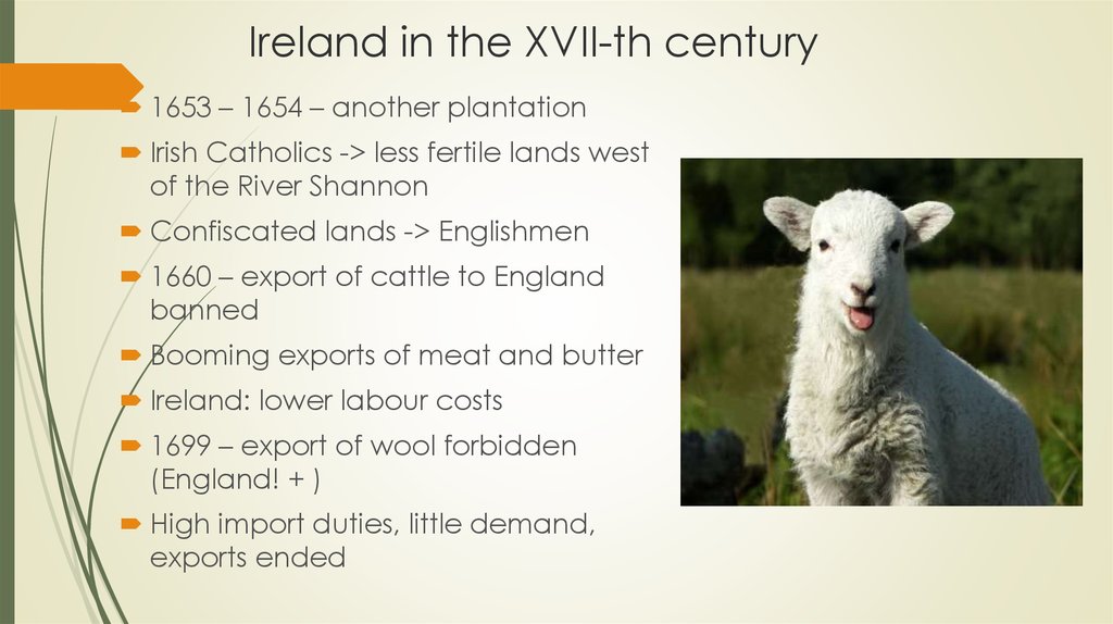Ireland in the XVII-th century