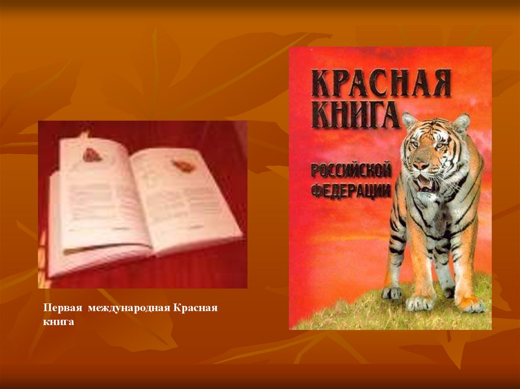 Международная книга россии
