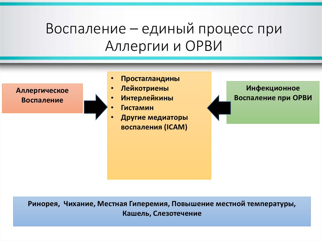 Единый процесс