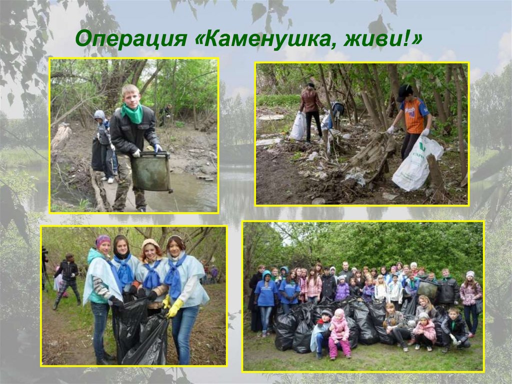 Операция «Каменушка, живи!»