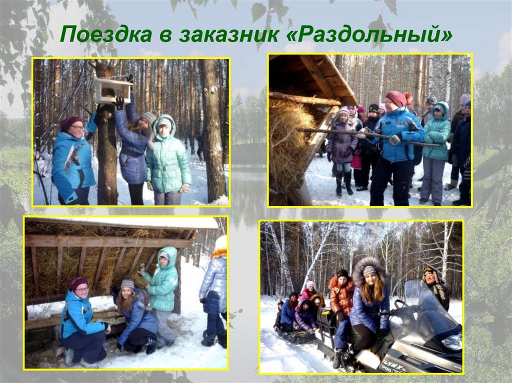 Поездка в заказник «Раздольный»