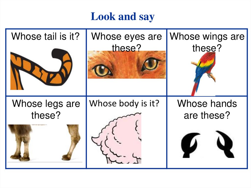 Whose is this check. Угадай животное по части тела. Whose упражнения 3 класс. Who картинка. Whose who's правило.