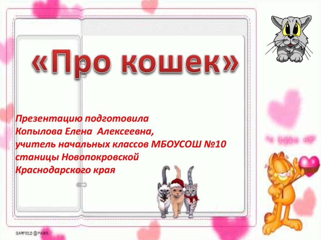 Презентация про кошек