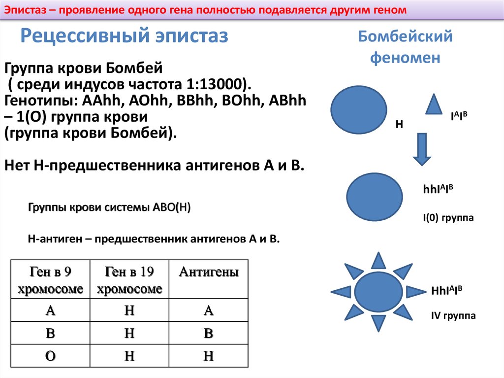 Эффект положения генов. Бомбейский синдром группа. Бомбейская группа крови. Рецессивный эпистаз Бомбейский феномен. Бомбейская группа крови генотип.