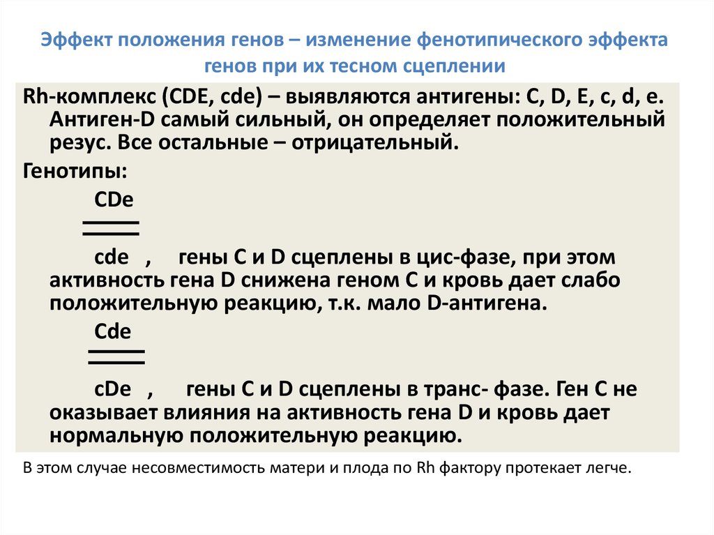 Схема взаимного расположения генов в хромосоме это