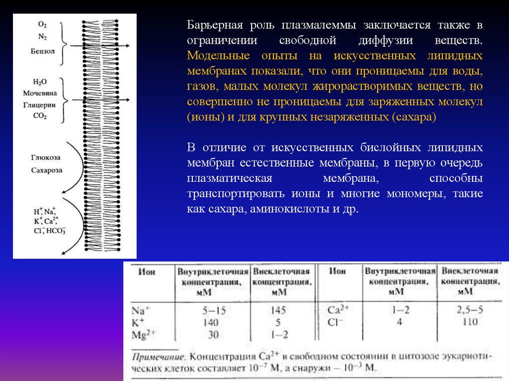 Барьерное условие. Свободная диффузия веществ. Роль диффузии в биологических процессах. Диэлектрическая проницаемость биологической мембраны. Барьерная функция плазмалеммы.