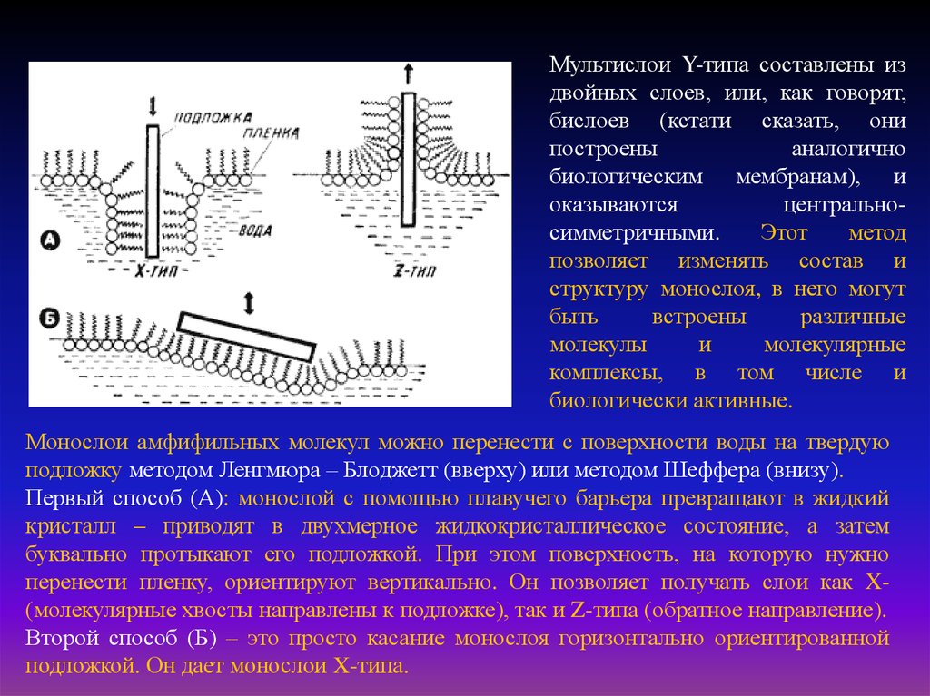 Поверхностных перенос. Методы исследования биологических мембран. Метод Ленгмюра-Блоджетт. Подложка Ленгмюра Блоджетт. Биологические мембраны монослои.