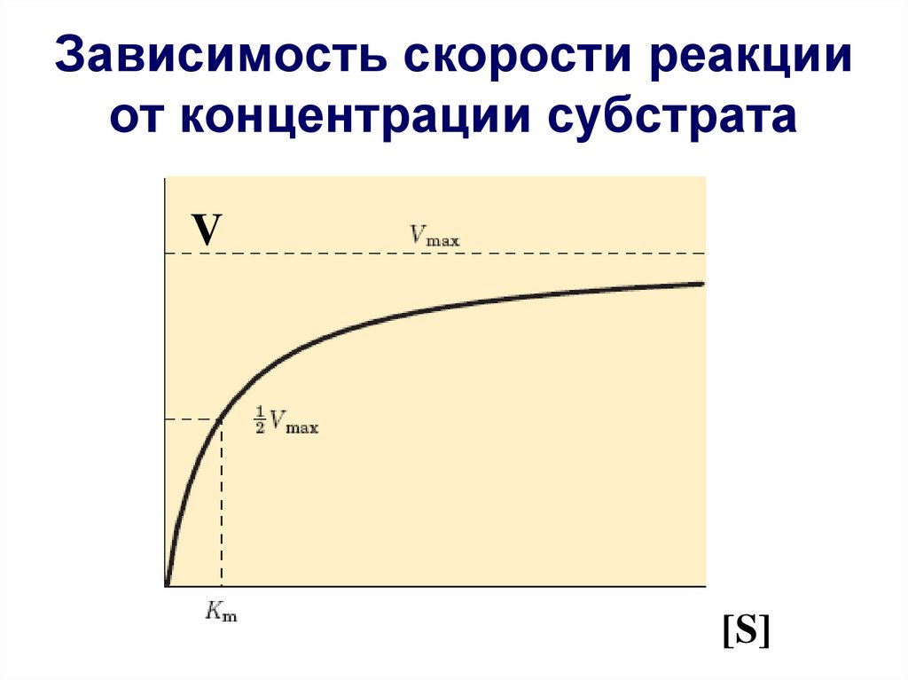 Скорость реакции и концентрация. График зависимости активности ферментов от концентрации субстрата. Скорость ферментативной реакции от концентрации фермента. Зависимость скорости от концентрации субстрата. Зависимость скорости реакции от концентрации фермента.