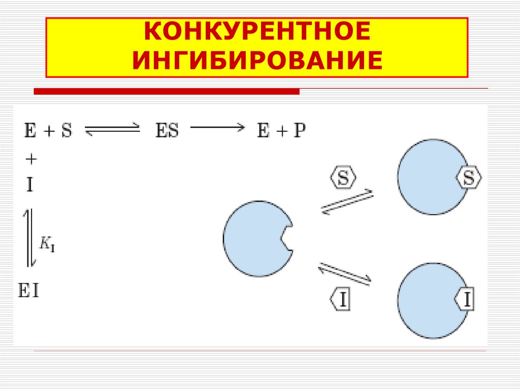 Схема конкурентного ингибирования