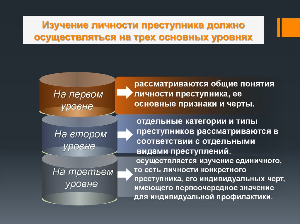 Структура преступника. Структура личности преступника. Исследование личности преступника. Понятие личности преступника. Черты личности преступника.