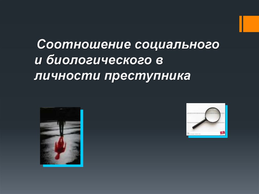 Социальное и биологическое в личности преступника. Соотношение социального и биологического в личности преступника. Соотношение социального и биологического преступника.