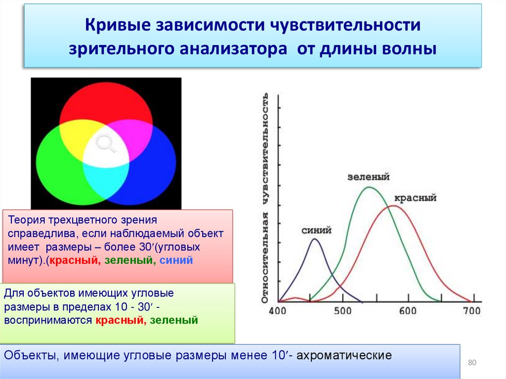 Чувствительность зрительного анализатора