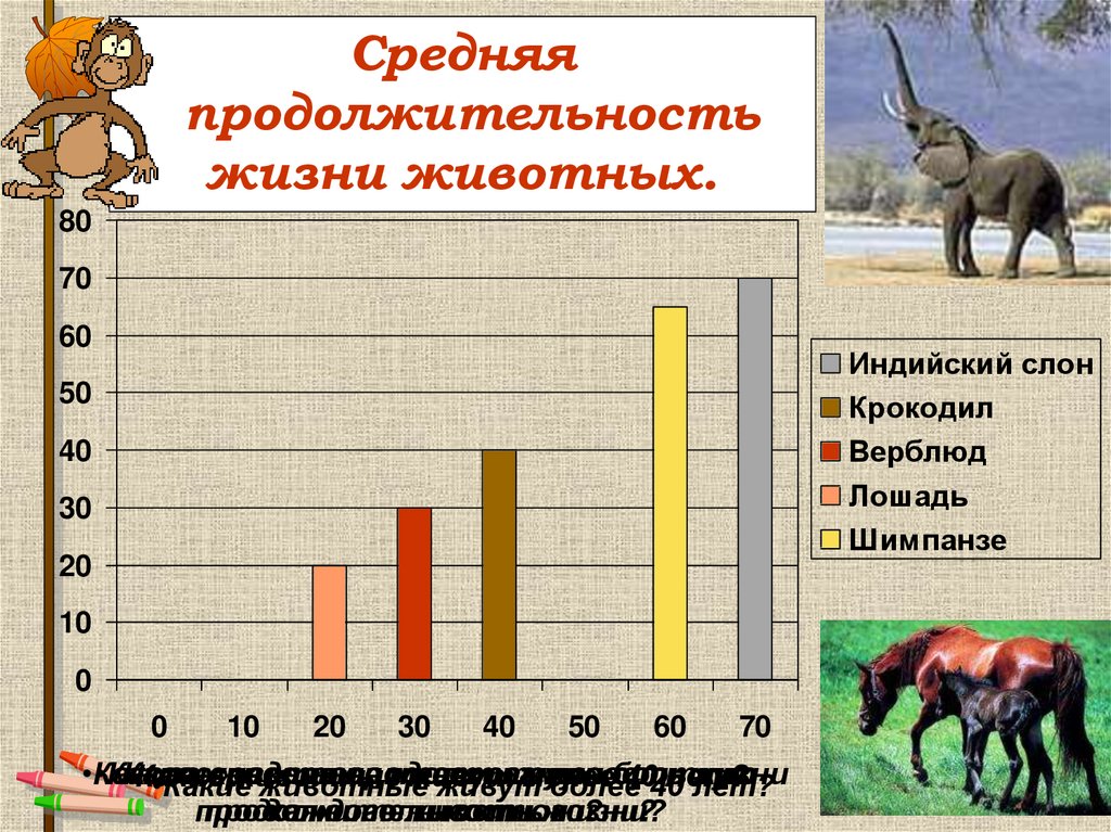 Средняя продолжительность жизни животных.