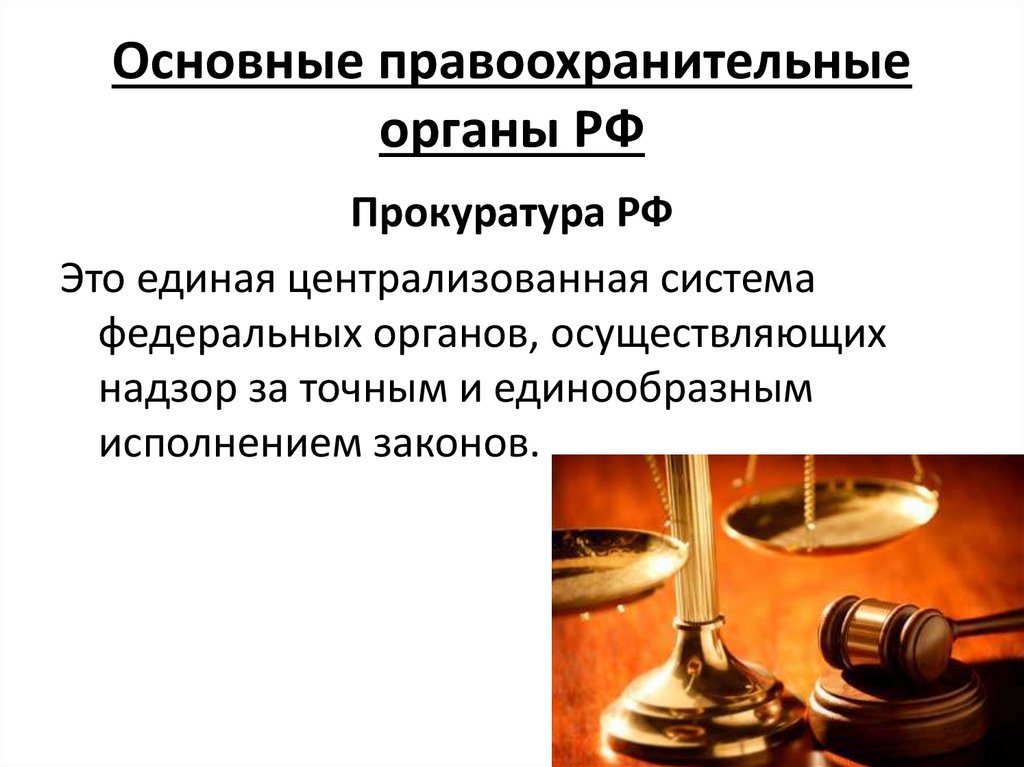 Специальность судебная и прокурорская деятельность