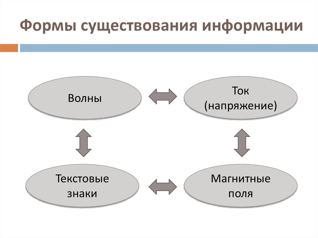 Форма существования