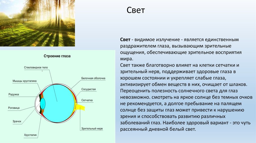 Проект солнечный свет