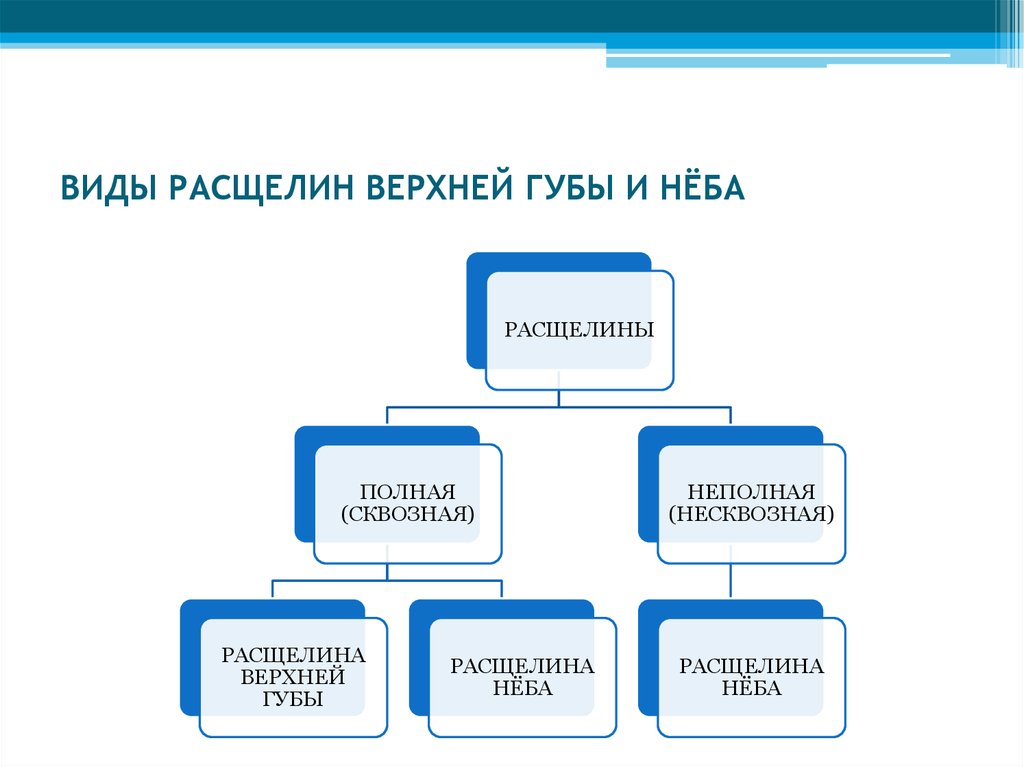 Виды расщелин губы и неба при ринолалии схема