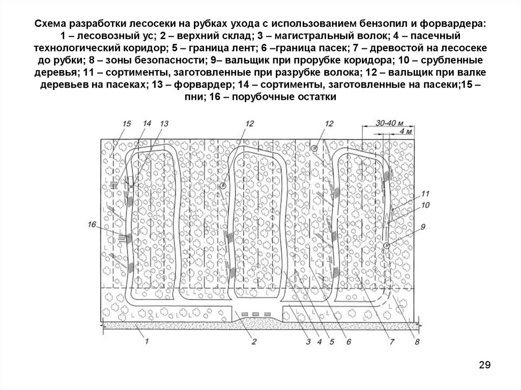 Схема разработки лесосеки харвестером