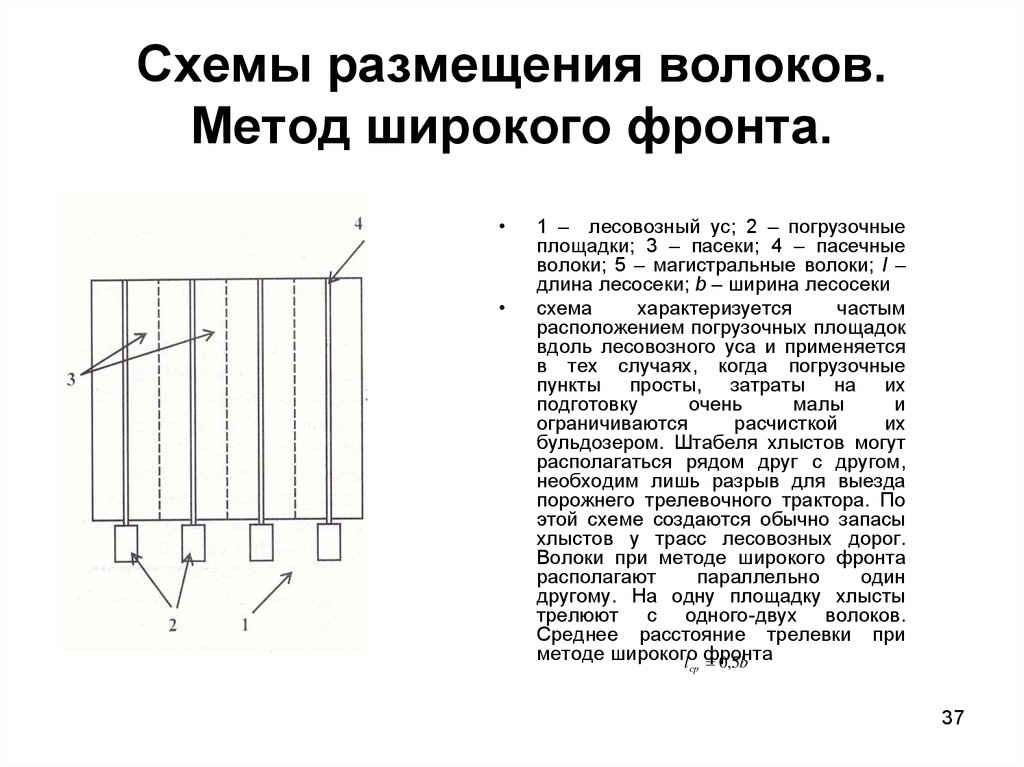 Метод широко. Схема расположения трелевочных волоков на лесосеке. Параллельная схема размещения трелевочных волоков. Схема лесосеки широким фронтом. Схемы размещения волоков.