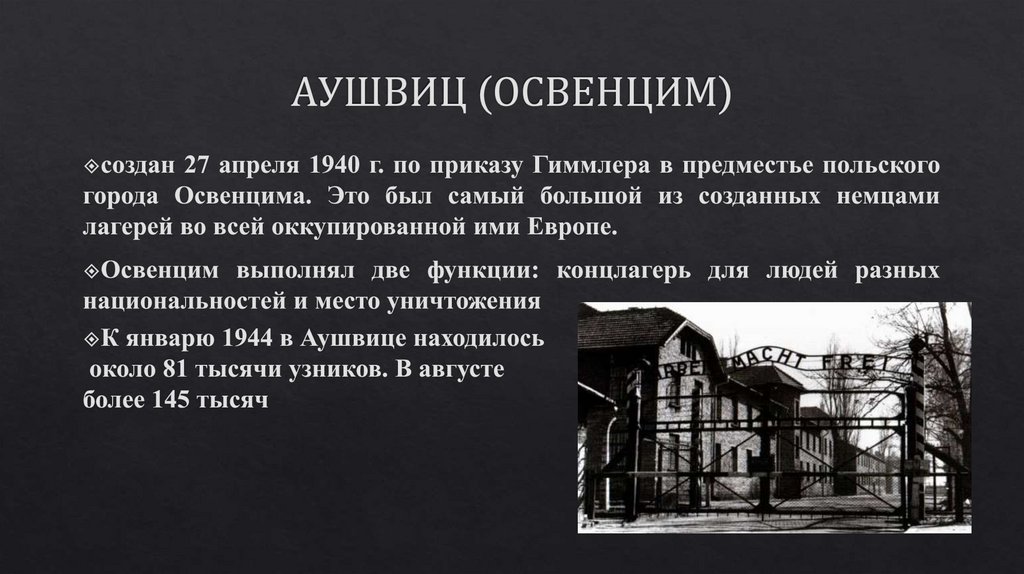 Протокол освенцим 2021. Концлагеря презентация. Лагерь Освенцим в Польше история.