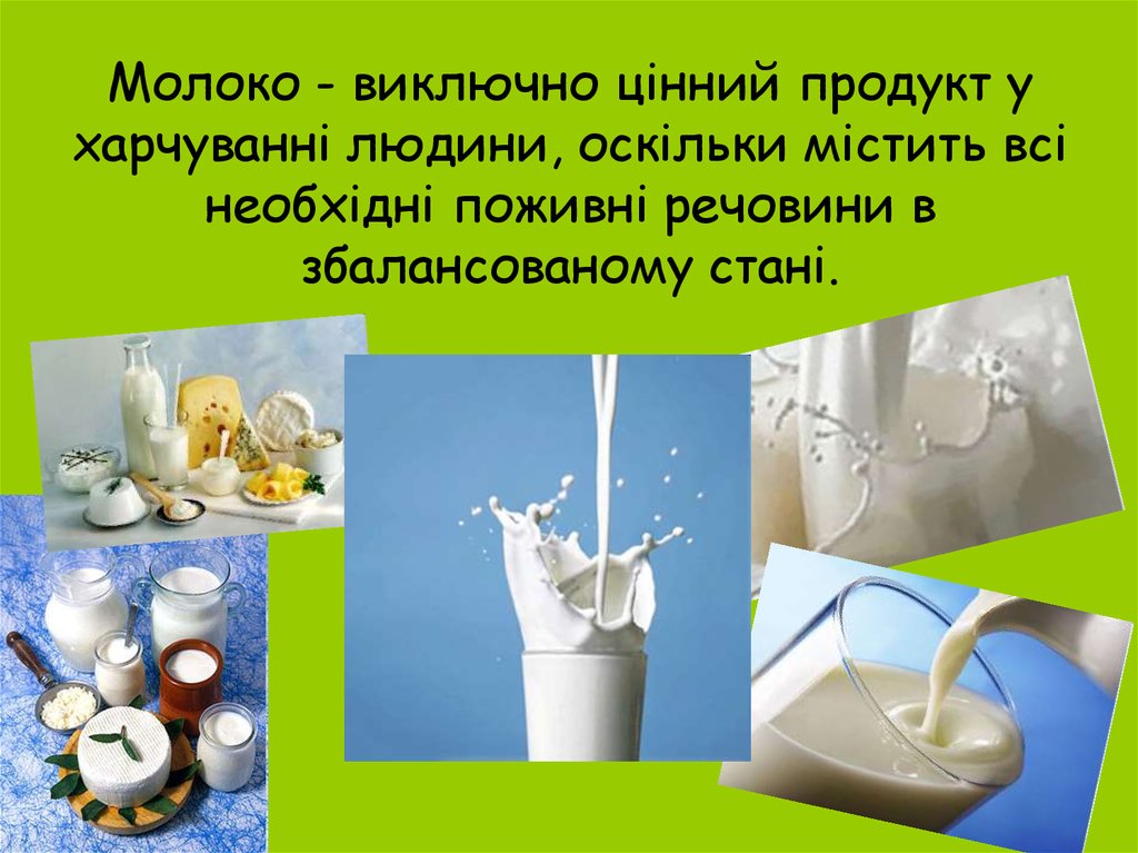 Молоко - виключно цінний продукт у харчуванні людини, оскільки містить всі необхідні поживні речовини в збалансованому стані.